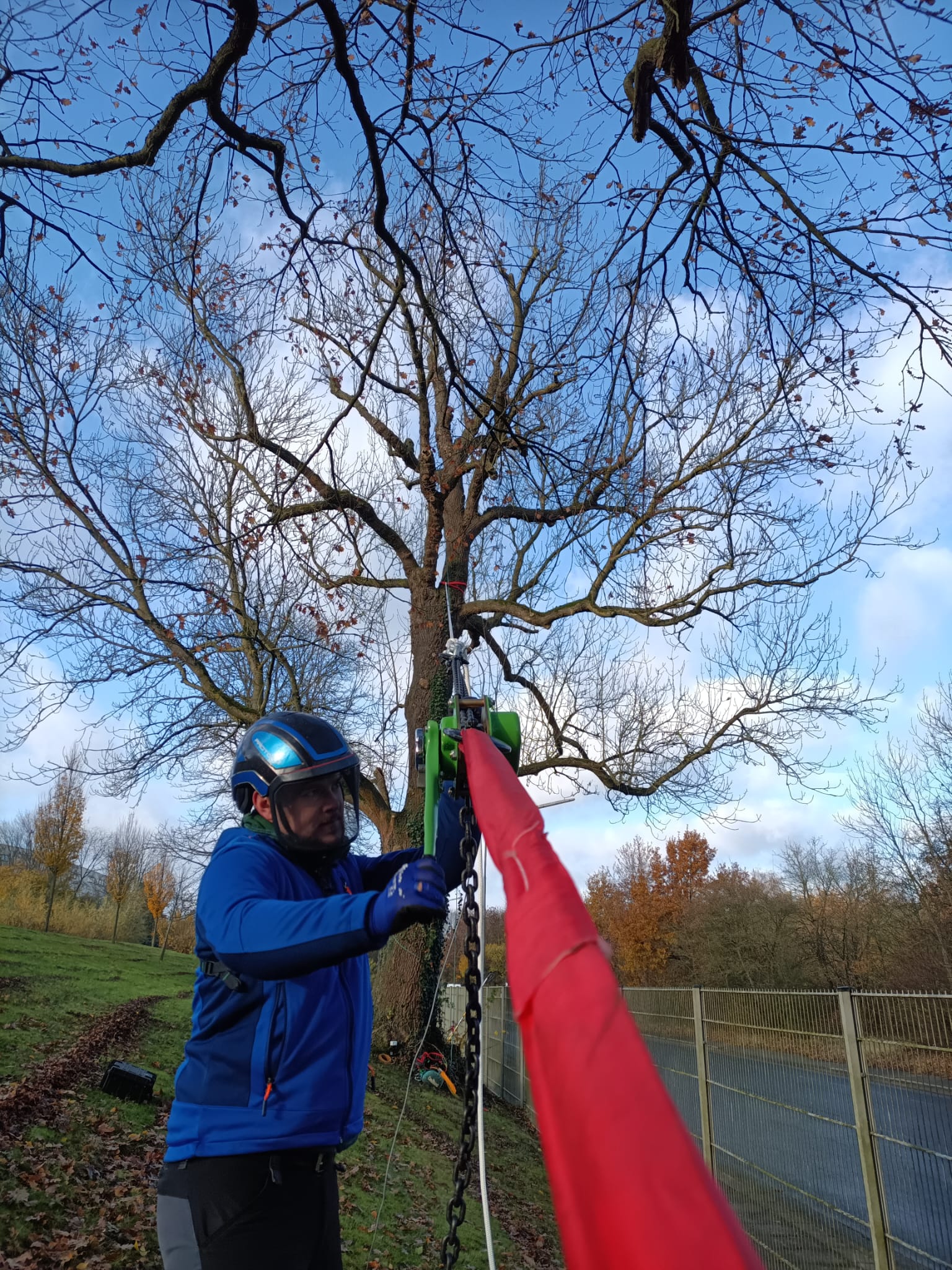 Zugversuch mit Kettenzug am Baum im praktischen Einsatz