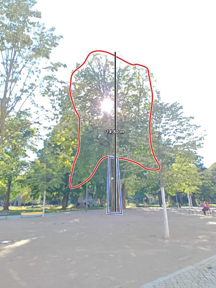 Fotogest&uuml;tztes Kronenmodell derselben Rosskastanie nach der Kronen&uuml;berarbeitung: Kronenfl&auml;che 70,17 m&sup2;, H&ouml;he 14,80 m