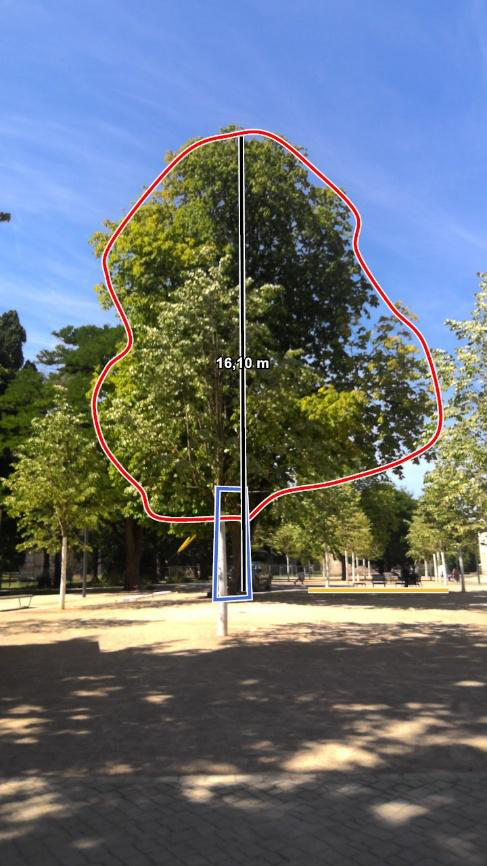 Fotogest&uuml;tztes Kronenmodell der Rosskastanie vor der Kronen&uuml;berarbeitung: Kronenfl&auml;che 117,68 m&sup2;, H&ouml;he 16,10 m