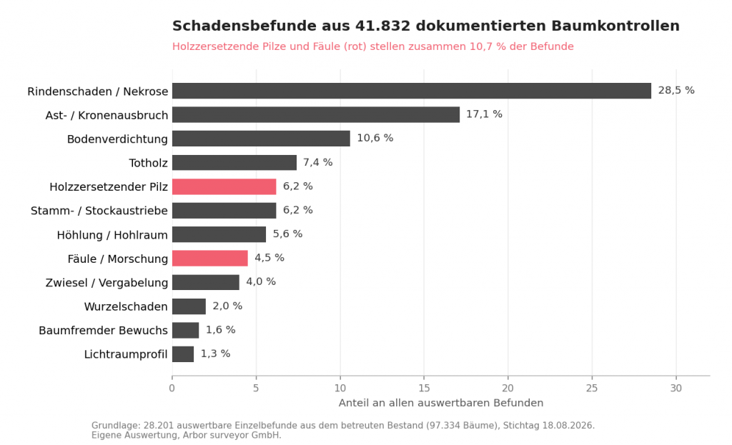 Balkendiagramm der Schadensbefunde aus 41.832 Baumkontrollen: Rindenschaden 28,5 Prozent, Ast- und Kronenausbruch 17,1 Prozent, Bodenverdichtung 10,6 Prozent, holzzersetzender Pilz 6,2 Prozent