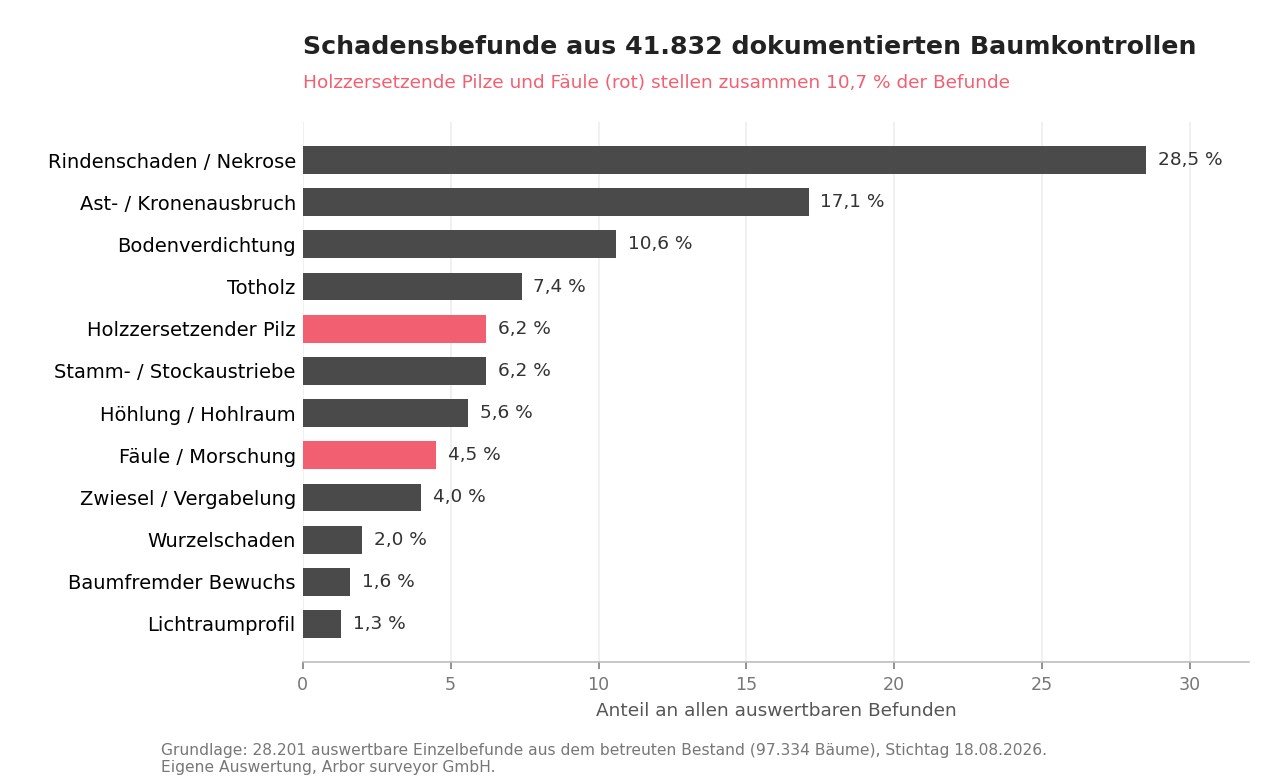Balkendiagramm der Schadensbefunde aus 41.832 Baumkontrollen: Rindenschaden 28,5 Prozent, Ast- und Kronenausbruch 17,1 Prozent, Bodenverdichtung 10,6 Prozent, holzzersetzender Pilz 6,2 Prozent