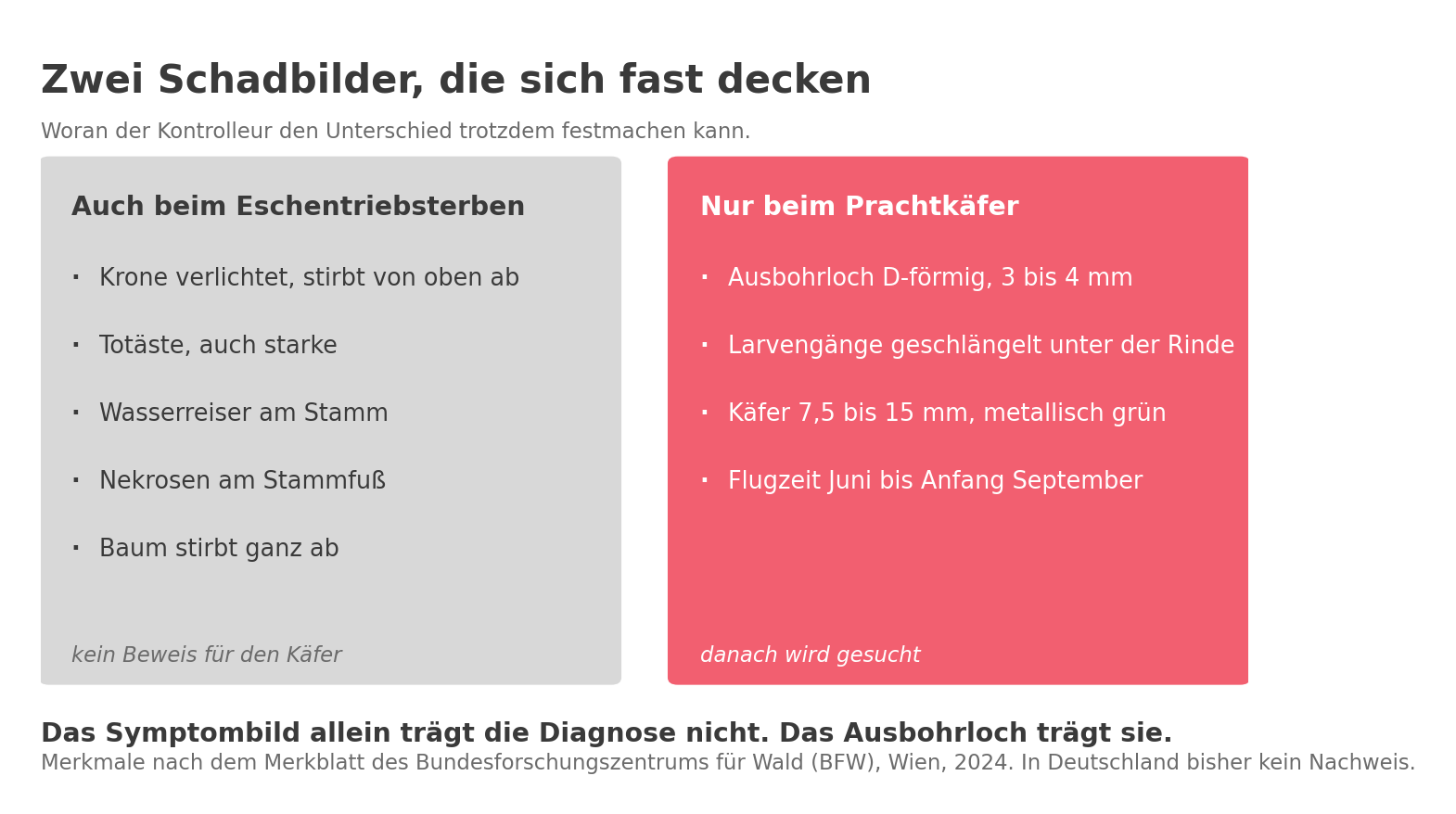 Vergleich der Schadbilder: links die Symptome, die auch das Eschentriebsterben verursacht, rechts die Merkmale, die nur der Asiatische Eschenprachtkäfer hinterlässt