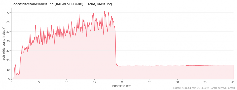 Bohrwiderstandskurve einer Esche: fester Holzmantel bis rund 19 cm, dann Abfall auf die Leerlauflinie durch Kernfäule