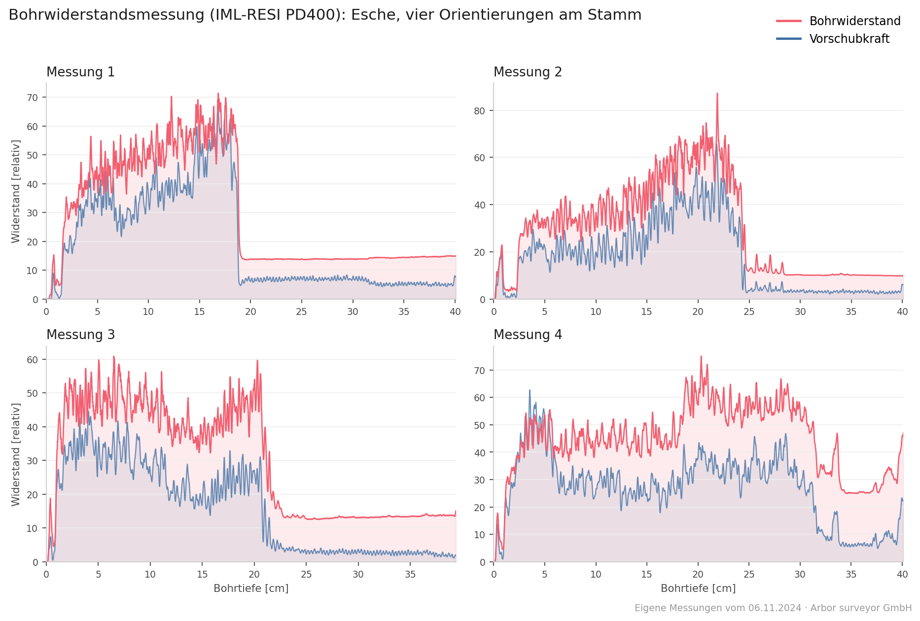 Vier Bohrwiderstandskurven an einer Esche: fester Holzmantel von 19 bis 31 cm je Richtung, dahinter Abfall durch Kernfäule