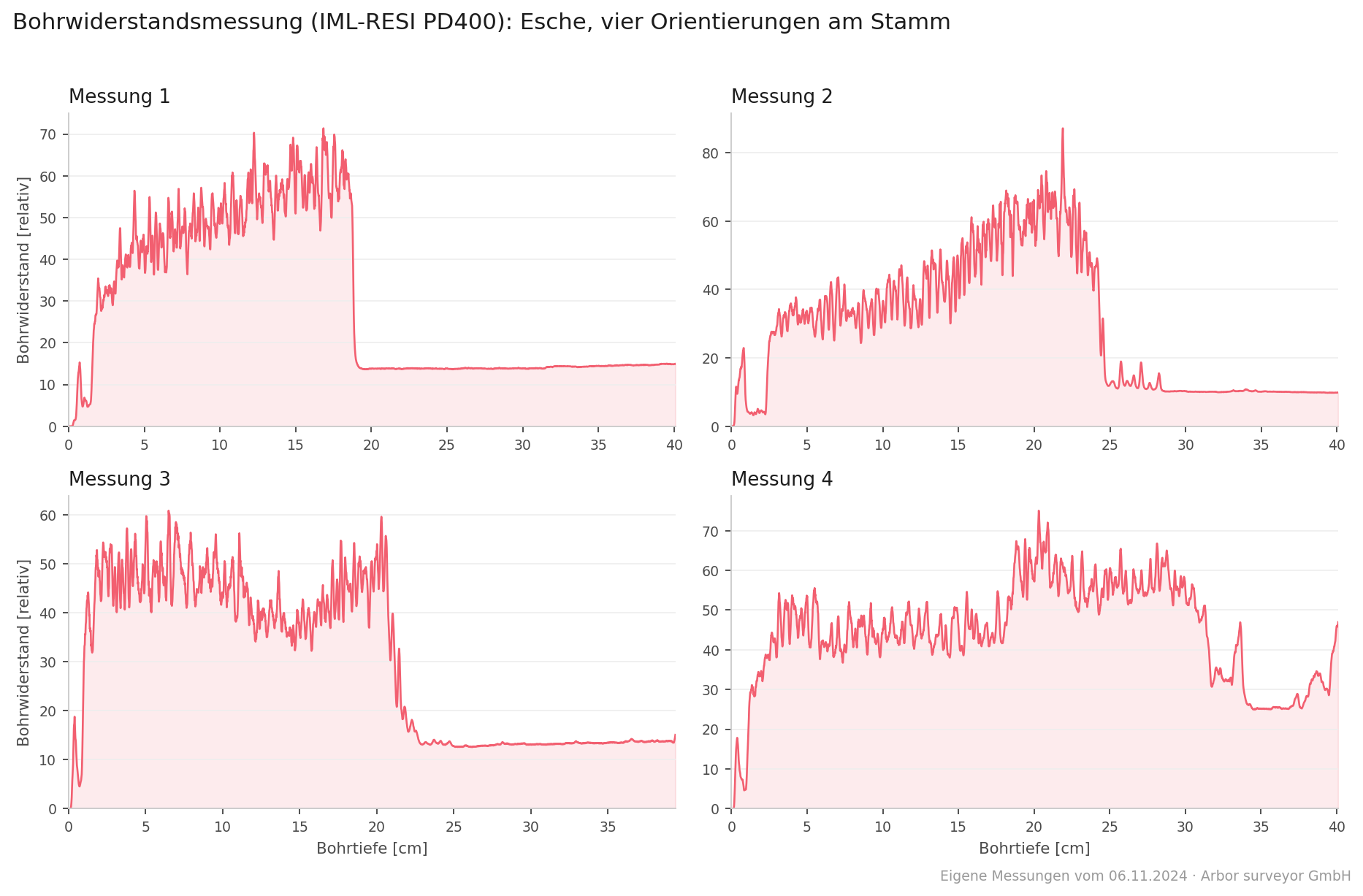 Vier Bohrwiderstandskurven an einer Esche: fester Holzmantel von 19 bis 31 cm je Richtung, dahinter Abfall durch Kernfäule