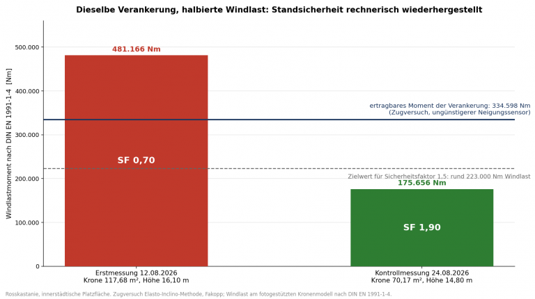 Balkendiagramm: Windlastmoment vor und nach der Kronenüberarbeitung gegenüber dem ertragbaren Moment der Verankerung, Sicherheitsfaktor 0,70 auf 1,90