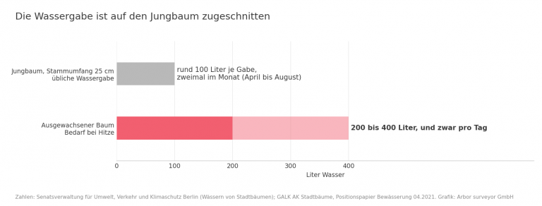 Balkendiagramm: Ein Jungbaum mit 25 Zentimetern Stammumfang erhaelt rund 100 Liter Wasser je Gabe, zweimal im Monat. Ein ausgewachsener Baum benoetigt bei Hitze 200 bis 400 Liter Wasser pro Tag.