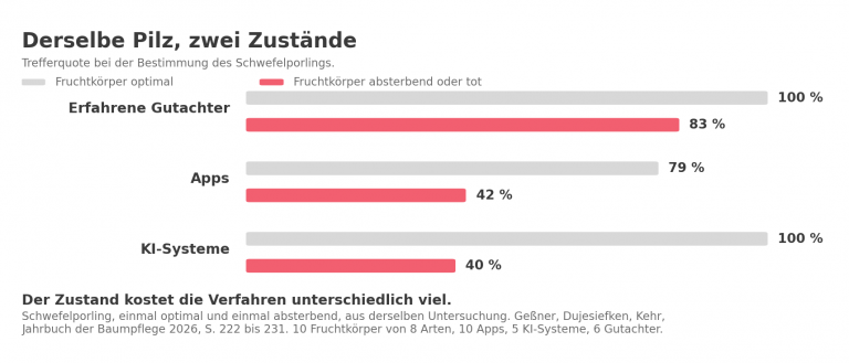 Schaubild: wie stark die Trefferquote bei der Pilzbestimmung einbricht, wenn der Fruchtkoerper nicht mehr optimal ausgepraegt ist