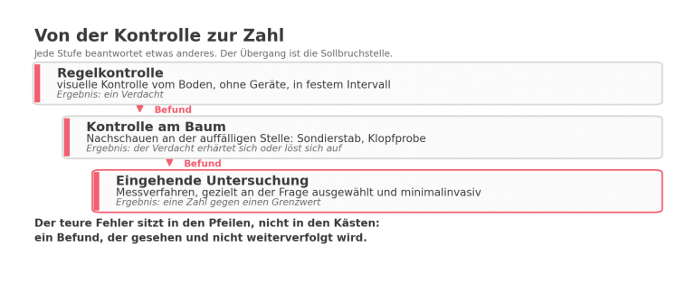 Von der Kontrolle zur Zahl: drei Stufen von der Regelkontrolle bis zur eingehenden Untersuchung.