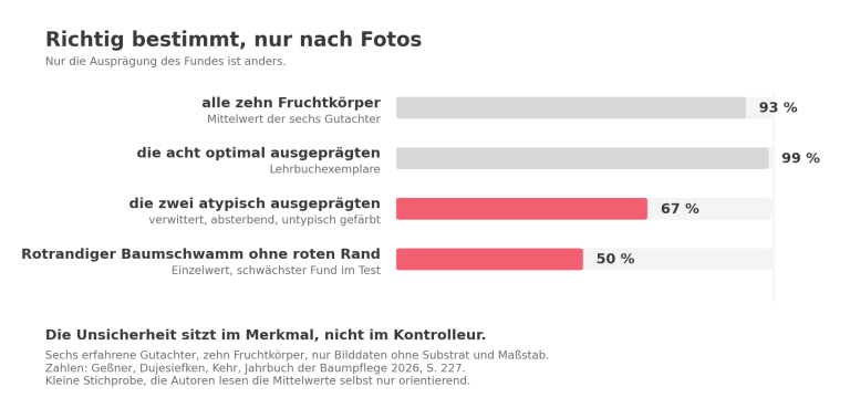 Balkendiagramm: erfahrene Gutachter bestimmen optimal ausgeprägte Pilzfruchtkörper zu 99 Prozent richtig, atypisch ausgeprägte nur zu 67 Prozent, den Rotrandigen Baumschwamm ohne roten Rand zu 50 Prozent