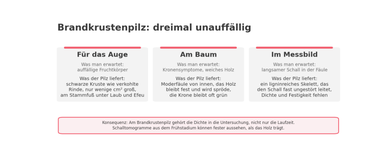 Schematische Übersicht in drei Spalten: Für das Auge, am Baum und im Messbild bleibt der Brandkrustenpilz unauffällig. Konsequenz: Am Brandkrustenpilz gehört die Dichte in die Untersuchung, nicht nur die Laufzeit.
