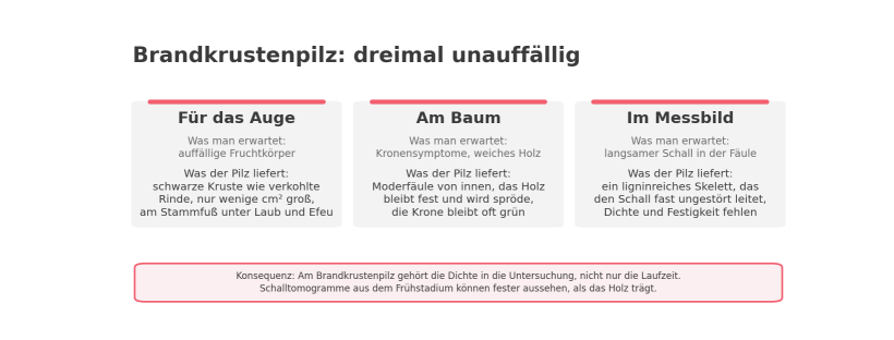 Schematische Übersicht in drei Spalten: Für das Auge, am Baum und im Messbild bleibt der Brandkrustenpilz unauffällig. Konsequenz: Am Brandkrustenpilz gehört die Dichte in die Untersuchung, nicht nur die Laufzeit.