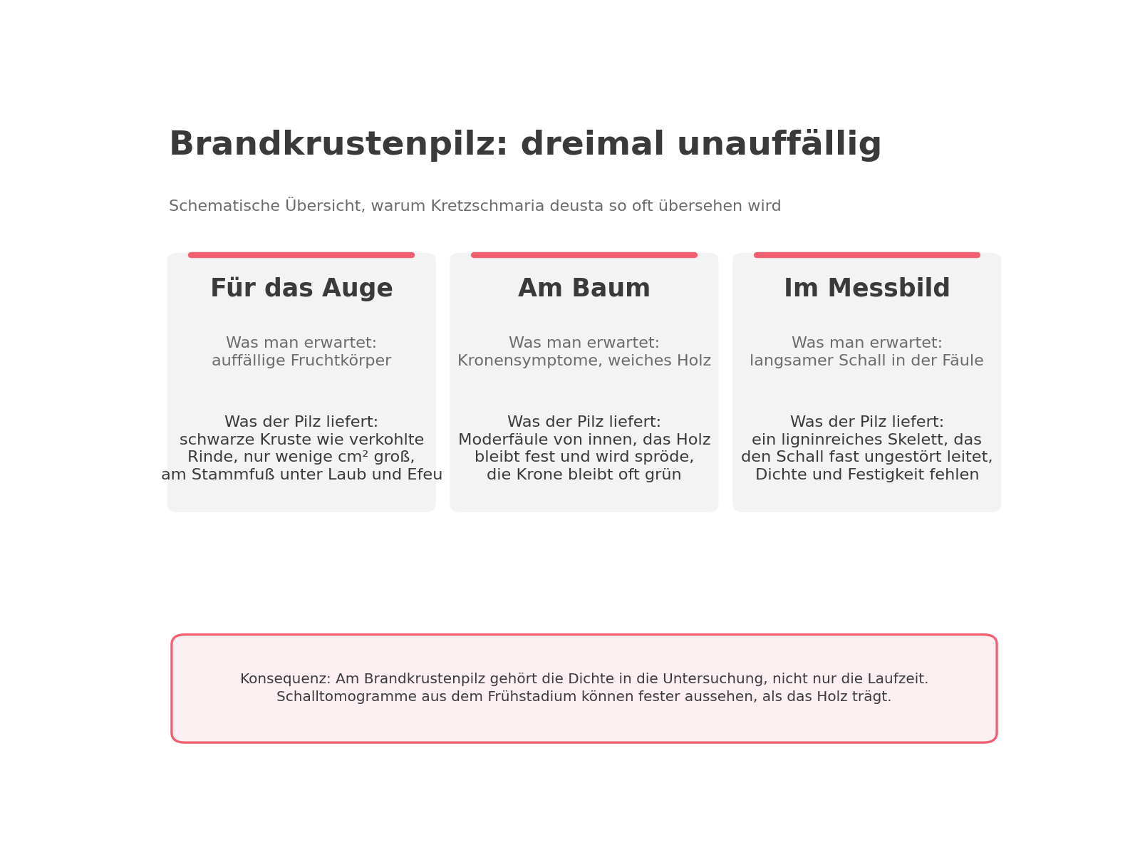 Schematische Übersicht in drei Spalten: Für das Auge, am Baum und im Messbild bleibt der Brandkrustenpilz unauffällig. Konsequenz: Am Brandkrustenpilz gehört die Dichte in die Untersuchung, nicht nur die Laufzeit.