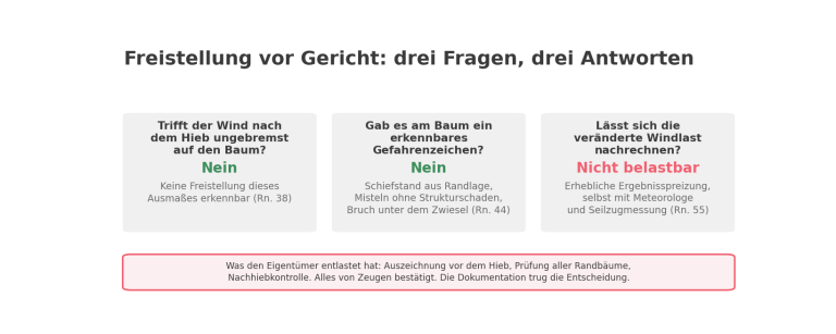 Schematische Übersicht zum Urteil des Landgerichts Nürnberg-Fürth vom 08.04.2025, 6 O 5002/22: Trifft der Wind nach dem Hieb ungebremst auf den Baum? Nein. Gab es am Baum ein erkennbares Gefahrenzeichen? Nein. Lässt sich die veränderte Windlast nachrechnen? Nicht belastbar. Entlastet hat den Eigentümer die dokumentierte Prüfung der Randbäume vor und nach dem Hieb.