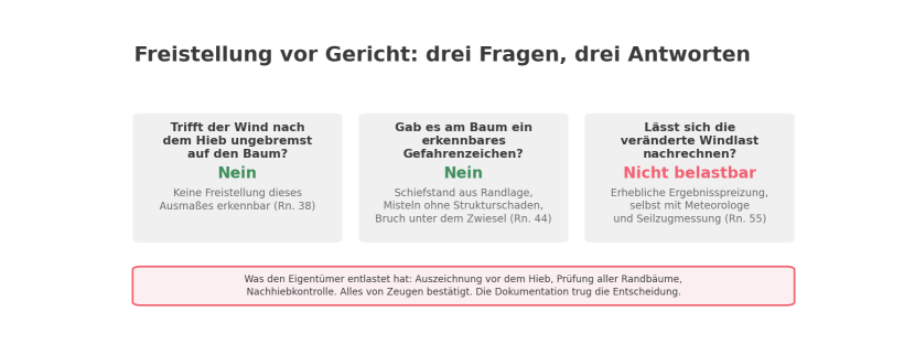 Schematische Übersicht zum Urteil des Landgerichts Nürnberg-Fürth vom 08.04.2025, 6 O 5002/22: Trifft der Wind nach dem Hieb ungebremst auf den Baum? Nein. Gab es am Baum ein erkennbares Gefahrenzeichen? Nein. Lässt sich die veränderte Windlast nachrechnen? Nicht belastbar. Entlastet hat den Eigentümer die dokumentierte Prüfung der Randbäume vor und nach dem Hieb.