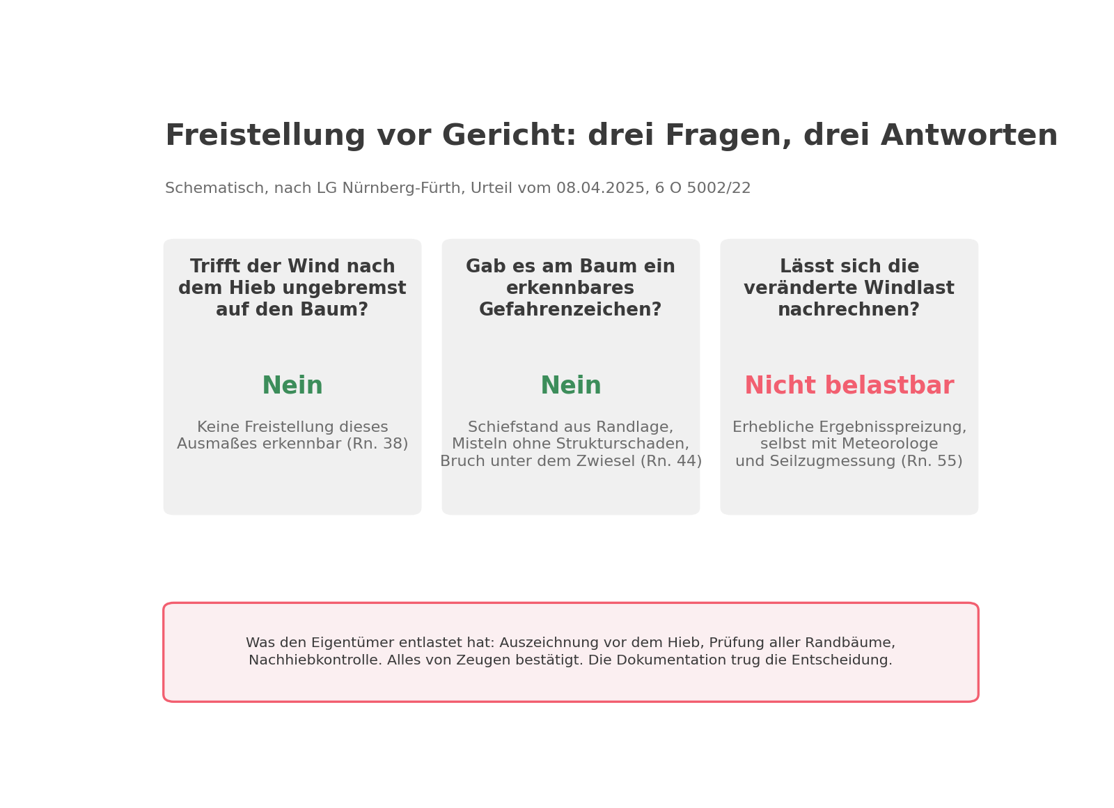 Schematische Übersicht zum Urteil des Landgerichts Nürnberg-Fürth vom 08.04.2025, 6 O 5002/22: Trifft der Wind nach dem Hieb ungebremst auf den Baum? Nein. Gab es am Baum ein erkennbares Gefahrenzeichen? Nein. Lässt sich die veränderte Windlast nachrechnen? Nicht belastbar. Entlastet hat den Eigentümer die dokumentierte Prüfung der Randbäume vor und nach dem Hieb.