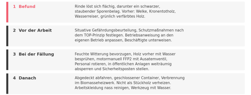 Handlungskette bei Verdacht auf Rußrindenkrankheit am Ahorn, nach der Musterbetriebsanweisung der SVLFG, Ausgabe April 2026.