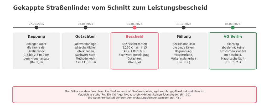 Schematische Zeitleiste zum Beschluss des Verwaltungsgerichts Berlin vom 06.08.2026, 1 L 200/26: Kappung der Straßenlinde durch einen Anlieger im Februar 2025, Gutachten mit wirtschaftlichem Totalschaden und Sachwert nach Methode Koch im April, Leistungsbescheid des Bezirksamts im Juni, Fällung im November 2025, Ablehnung des Eilantrags im August 2026. Darunter drei Kernsätze des Gerichts: Straßenbaum ist Straßenzubehör unabhängig von Pflanzung und Verzeichnis, Neuaustrieb widerlegt keinen Totalschaden, Gutachtenkosten gehören zum Schaden.